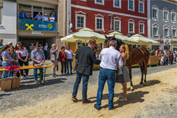 Pferdemarkt+Peuerbach